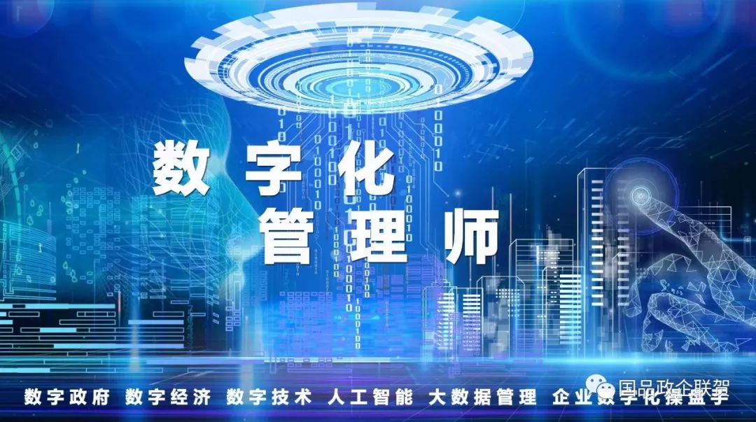 2026年数字化管理师职业技术水平考试（初级）